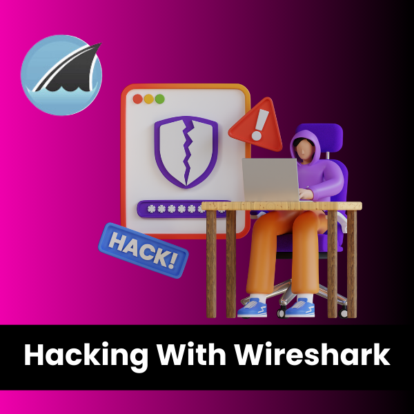 Master in Ethical Hacking With Wireshark