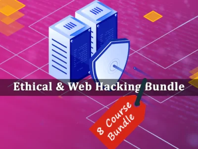Certified Web Hacking Expert 2024 – Bundle Courses