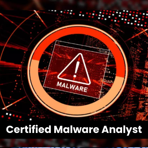 Advanced Malware Analysis Training